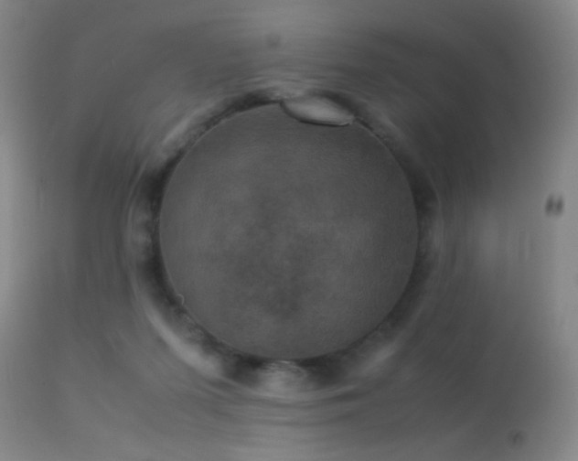 X0000113250215200909171633