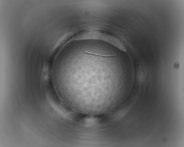 X0000113250216200909171633