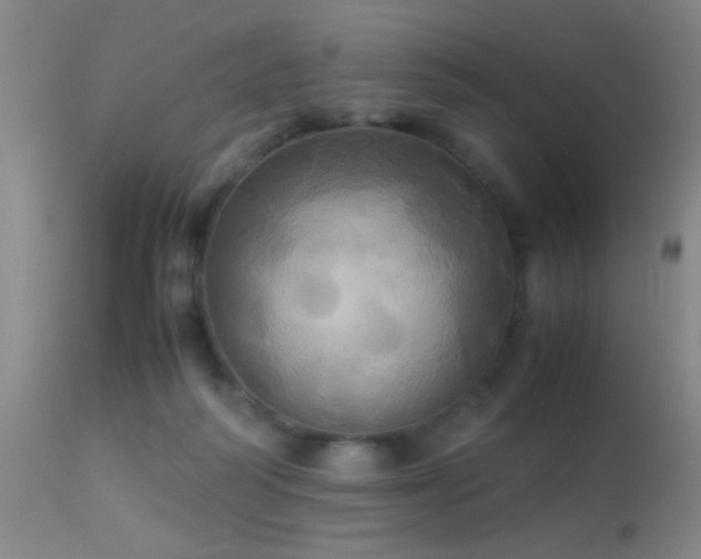 X0000113250218200909171633