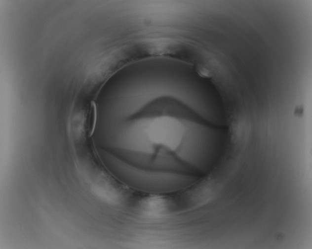 X0000113250219200909171633