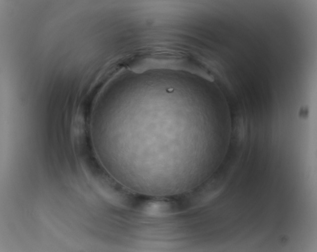 X0000113250220200909171633