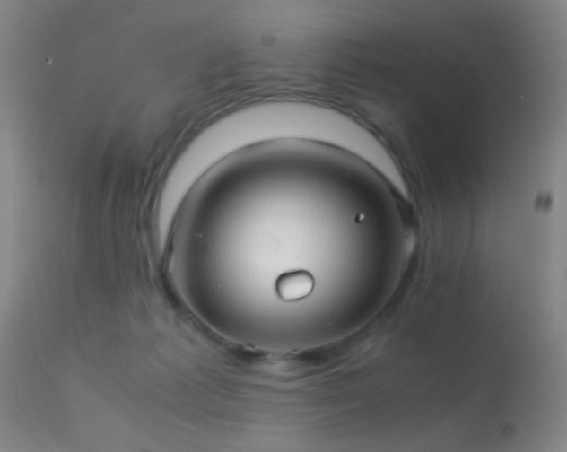 X0000113250221200909171633