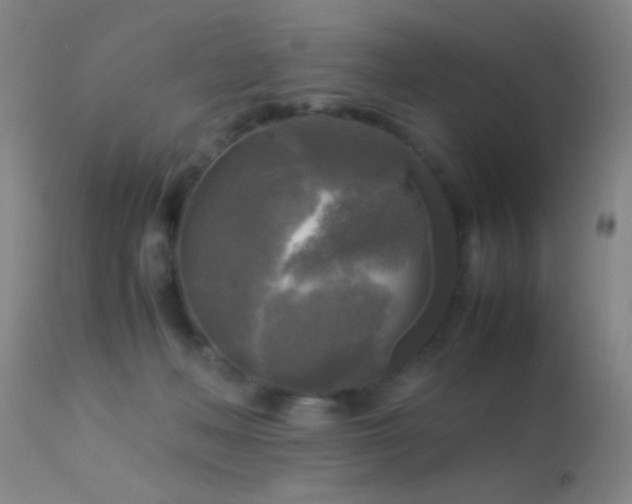 X0000113250222200909171633