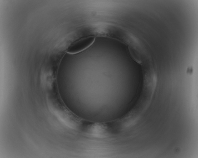 X0000113250223200909171633