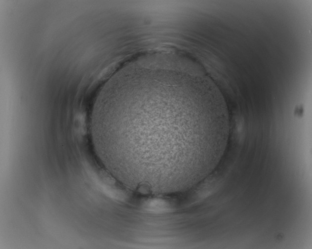 X0000113250224200909171633