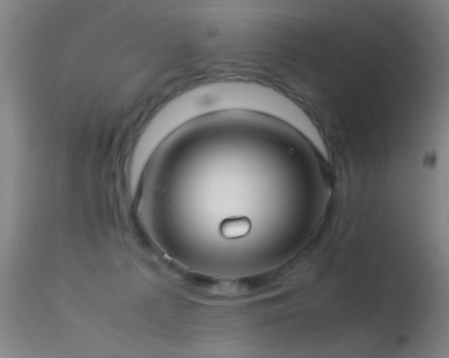 X0000113250225200909171633