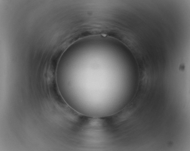 X0000113250226200909171633