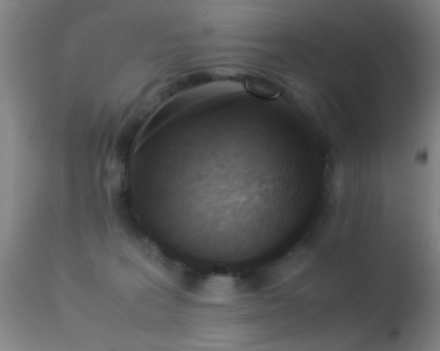 X0000113250227200909171633