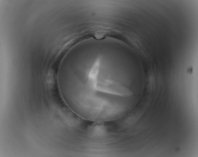 X0000113250228200909171633