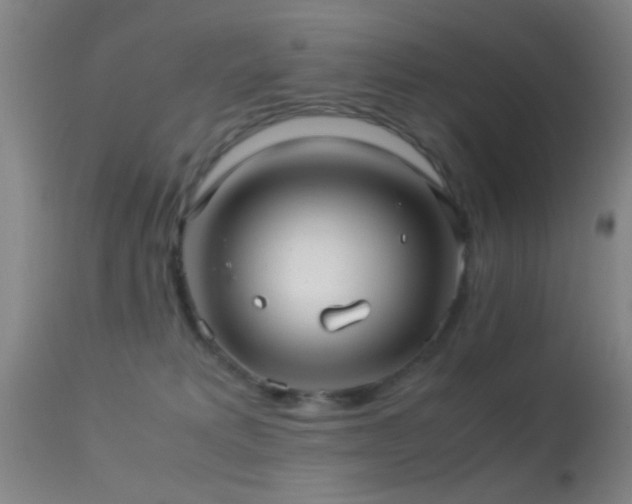 X0000113250229200909171633