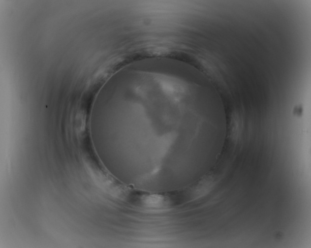 X0000113250230200909171633