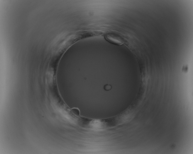 X0000113250231200909171633