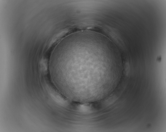 X0000113250232200909171633