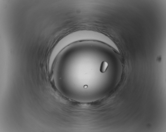 X0000113250233200909171633