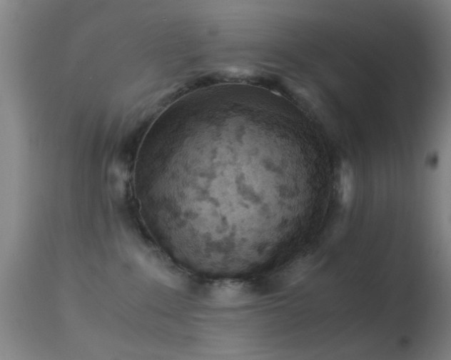 X0000113250235200909171633