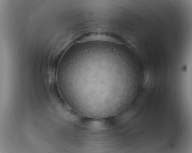 X0000113250236200909171633