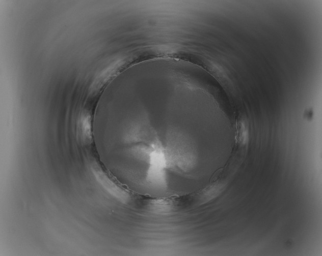 X0000113250238200909171633