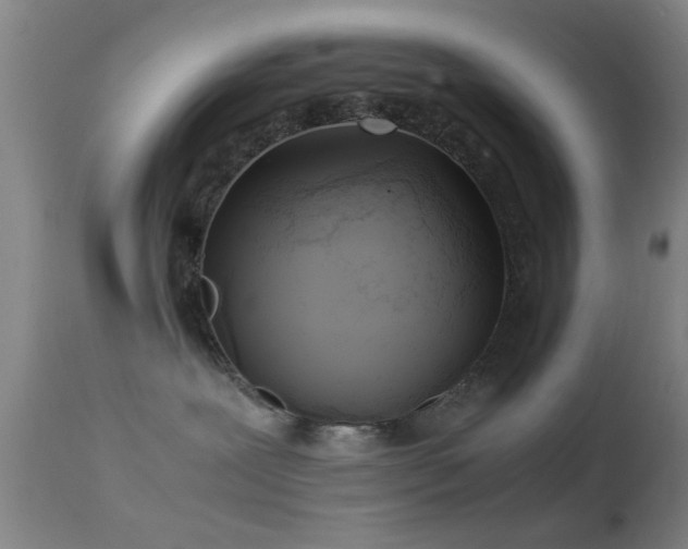 X0000113250239200909171633