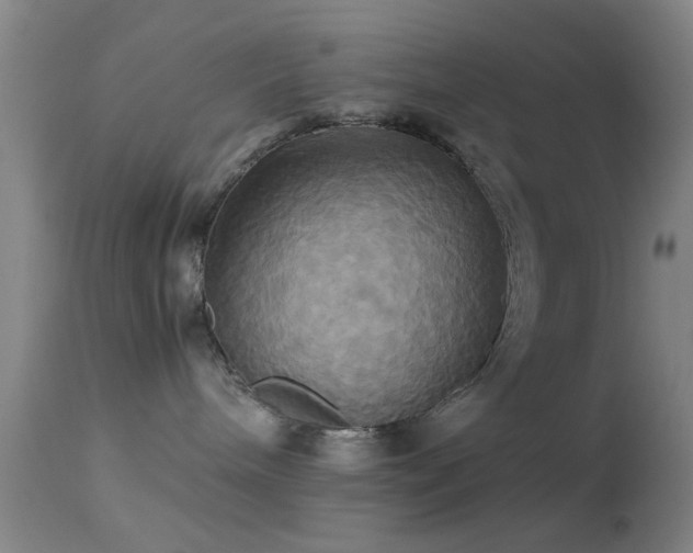 X0000113250240200909171633