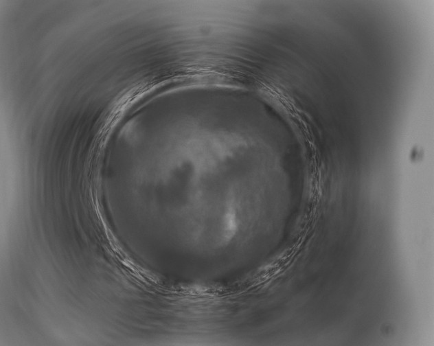 X0000113250241200909171632