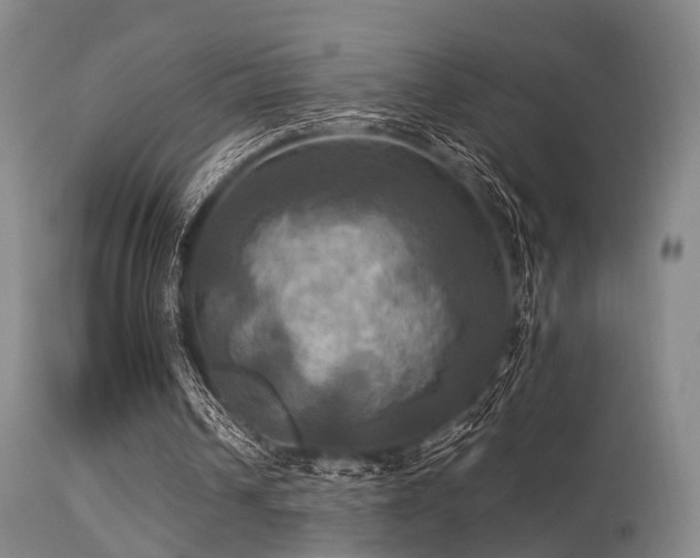 X0000113250242200909171632