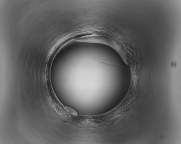 X0000113250244200909171632