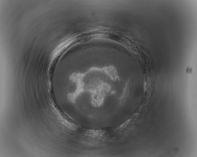 X0000113250245200909171632