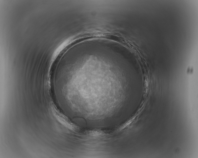 X0000113250246200909171632