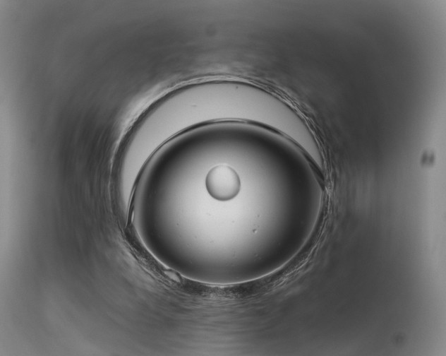 X0000113250248200909171632