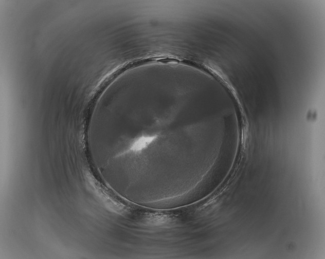 X0000113250249200909171632