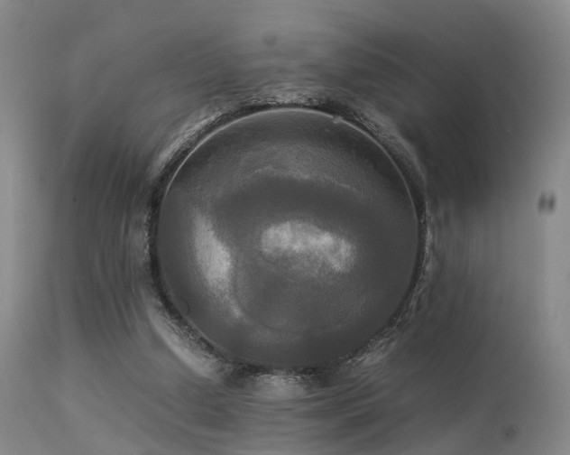 X0000113250250200909171632