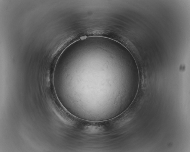 X0000113250251200909171632