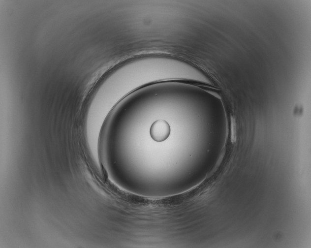 X0000113250252200909171632