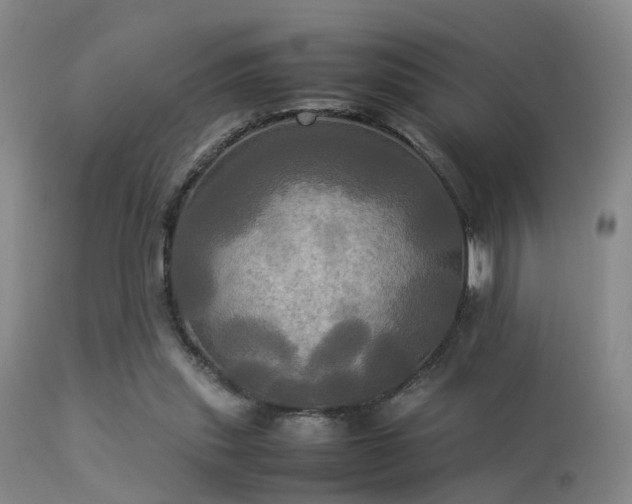 X0000113250253200909171632