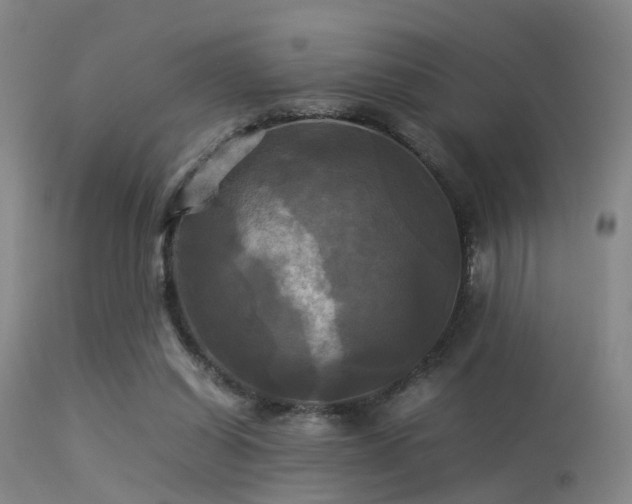 X0000113250254200909171632