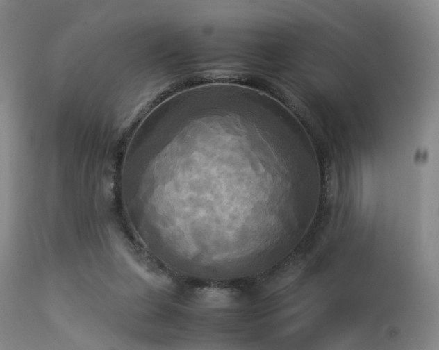 X0000113250255200909171632