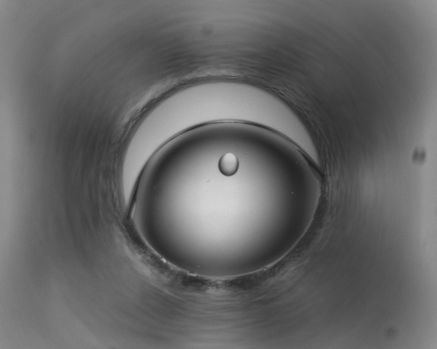 X0000113250256200909171632