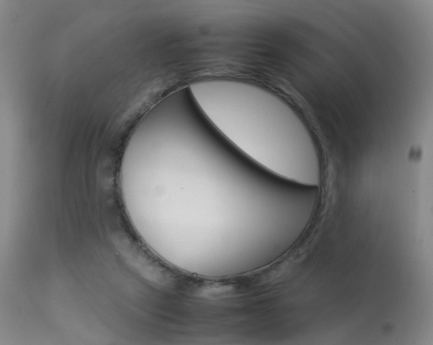 X0000113250257200909171632