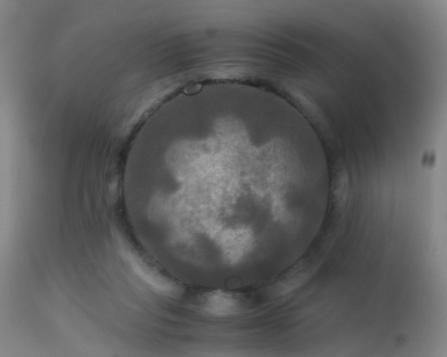 X0000113250261200909171632