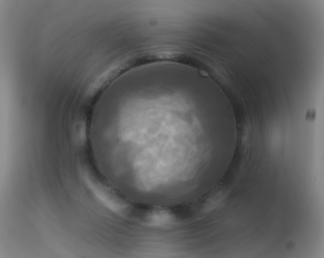 X0000113250262200909171632