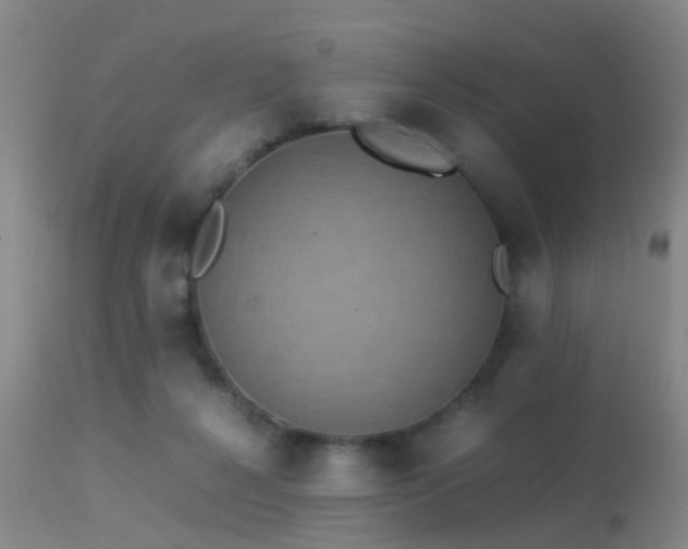 X0000113250264200909171633