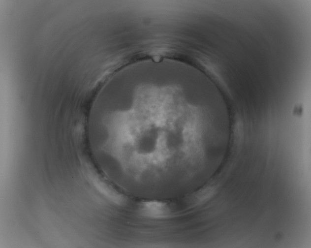 X0000113250265200909171633