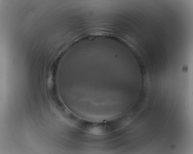 X0000113250267200909171633