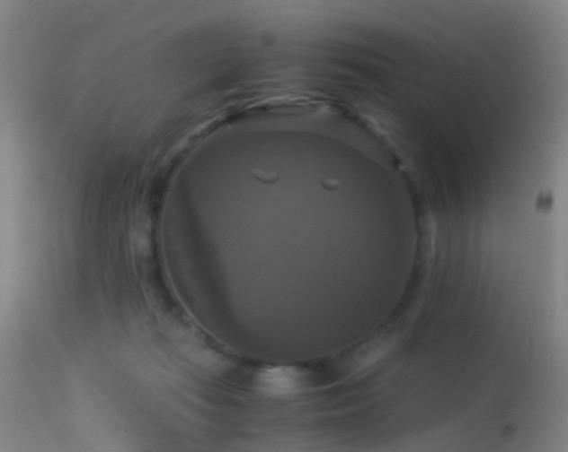 X0000113250269200909171633