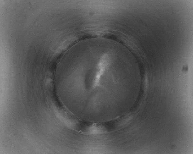 X0000113250270200909171633