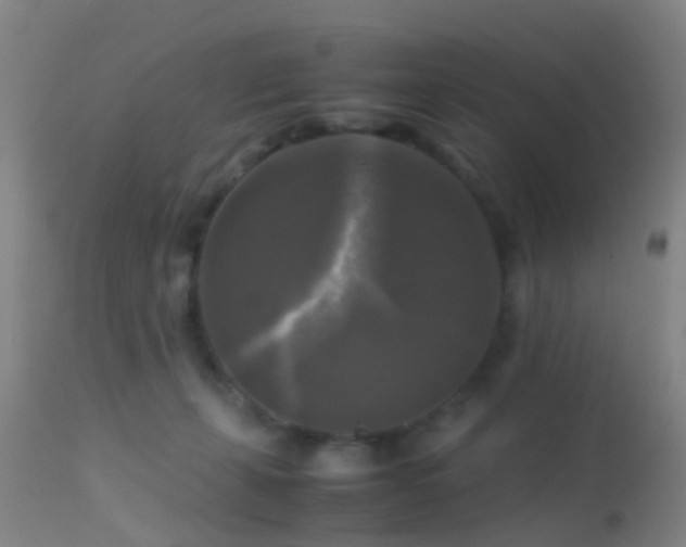 X0000113250271200909171633