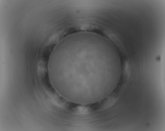 X0000113250272200909171633