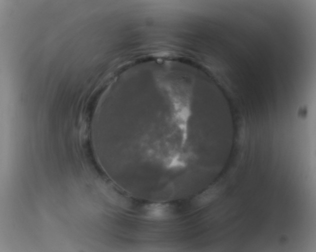 X0000113250273200909171633