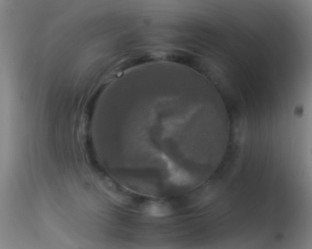 X0000113250275200909171633