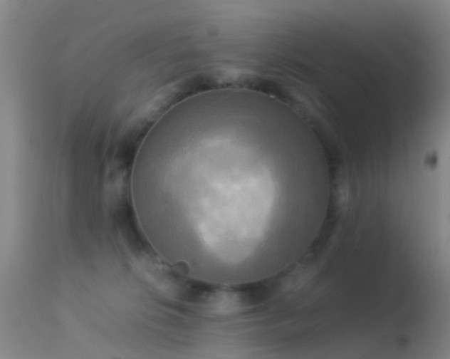 X0000113250276200909171633